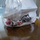 도야족발&보쌈 | [내돈내산]부산 해운대 도야족발보쌈 배달솔직후기 1+1 반반족발 가성비!?!?!