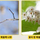 숲노리누리협동조합