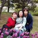 김해 연지공원 튜우립축제에 가다(2015. 4. 18) 이미지
