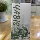 아비스디자인 | [마이아비스] 젤 클렌저 유목민 정착! 세정력과 촉촉함을 다 잡은 약산성 젤 클렌저 리얼 후기