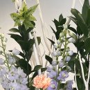 꽃집초이 이미지