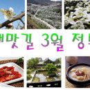 [대맛길 54차 정모] 꽃피는 3월~ 매화꽃 가득한 하동으로 GOGO~!!! 이미지