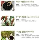 매자화장품