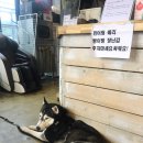 욜로하 하우스 이미지