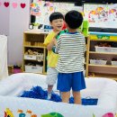 🌷배려반🌷 바다 프로젝트 3(바다놀이,이야기 나누기,속담,해파리 모자,바다 생물 분류,감정,민방위,창의,큐스캔,신체,게임,인성) 이미지