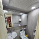 신방한라동백@ 2 이미지