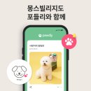 몽스빌리지 이미지