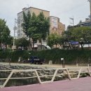 삼정모밀