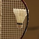 칠보단장 이미지