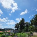 하례광장로 이미지