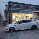 청공틴팅