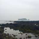 법환포구횟집식당 이미지