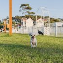 파라독스글램핑 이미지