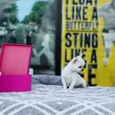 렛츠개릿 이미지