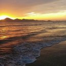 효림초정문 이미지