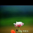 행복꽃