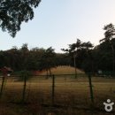 효민공 이경직 묘역 Daum카페