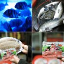 용인실내바다낚시터 이미지