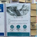 거 아님 주의❌ 여름맞이 이불+운동화 빨래하러 캐리어 끌고 다녀온 후기 (feat. 워시엔조이 금천구청점)