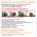 엠플라워