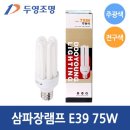 두영