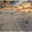 대박부동산공인중개사사무소 이미지