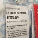 사과가 되지 말고 도마도가 되라