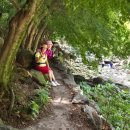 바람고갯길 이미지