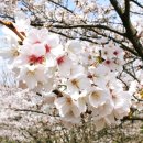 광주 천변길2 이미지