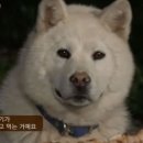 가을이 오면