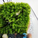 스페이스이모션오피스텔 이미지