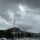 일남농장 | 타운즈빌 워홀 일상 244일~251일 | 오세요 악어가 나오는 타운즈빌로 | 만두 만들면서 설날 보내기...