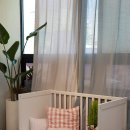 도그살롱바른핏 이미지