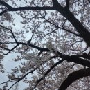 낙동강변로3-3 이미지