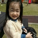 하바드어린이집 이미지