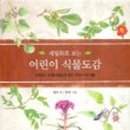 식물도감 이미지