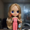 네오멤버스 이미지