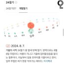 데이헌드레드