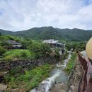 1박2일펜션 | 경남 밀양 수영장 펜션 1박2일펜션 채송화 후기