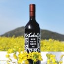 베리팜 펜션 | 고창베리팜, 5월 가정의 달 이벤트로 복분자원액 할인 판매