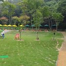 동백 숲속애견랜드 이미지