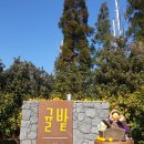 상창 카멜리아힐입구3가 2 | 제주도가볼만한곳/ 제주감귤/낭만귤밭76번지