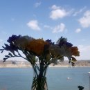 보노돈까스 이미지