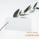 산삼골꿀벌영농조합법인 이미지