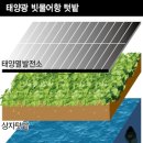 녹색드림협동조합 이미지