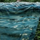 맹그로브 신설 이미지