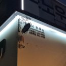 필스너 하우스 운정역점 | 파주 필스너하우스 운정역점 후기 | 유럽 감성 맥주집에서 찾은 힐링공간