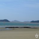 백사장해수욕장 Daum카페