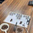 커피바이아카데미아커피학원 | SCA 바리스타 초급+라테아트 수업 / SCA 중급 실기 후기