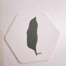 에모씨옹 이미지